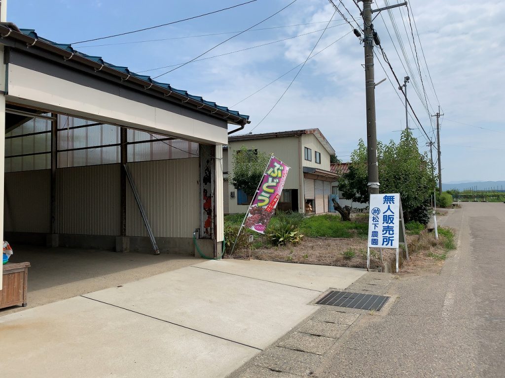 新潟県三条市　松下農園の果物。