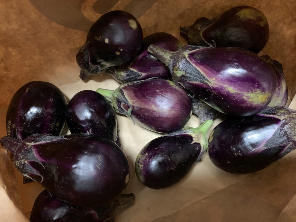 貰い過ぎの茄子の消費方法。茄子をカツにしてみた