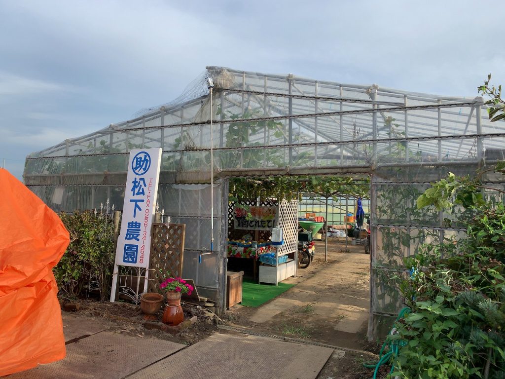 三条市大島　松下農園　秋の果物真っ盛り。