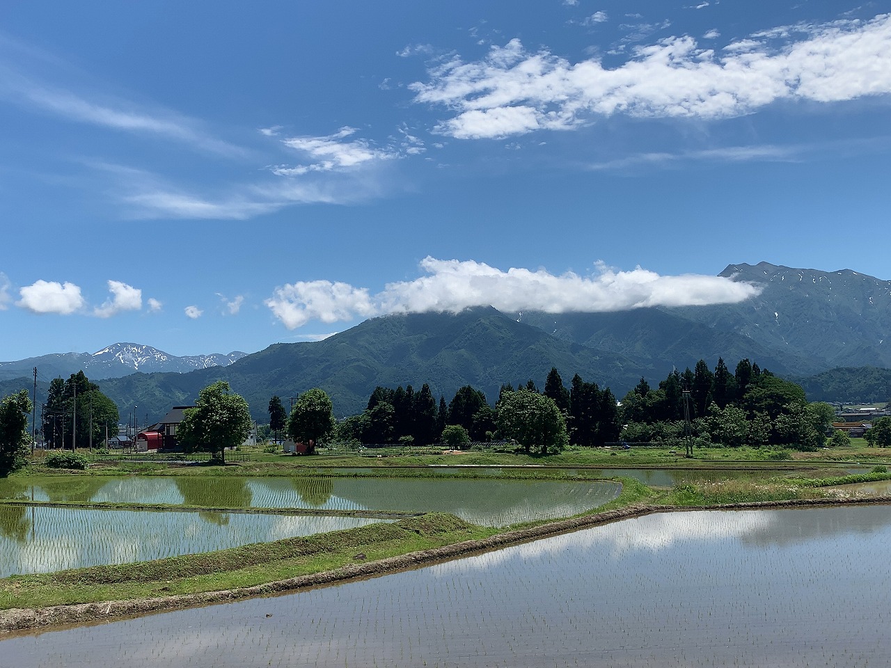 越後維新 湯沢本店 辛とんつけ麺