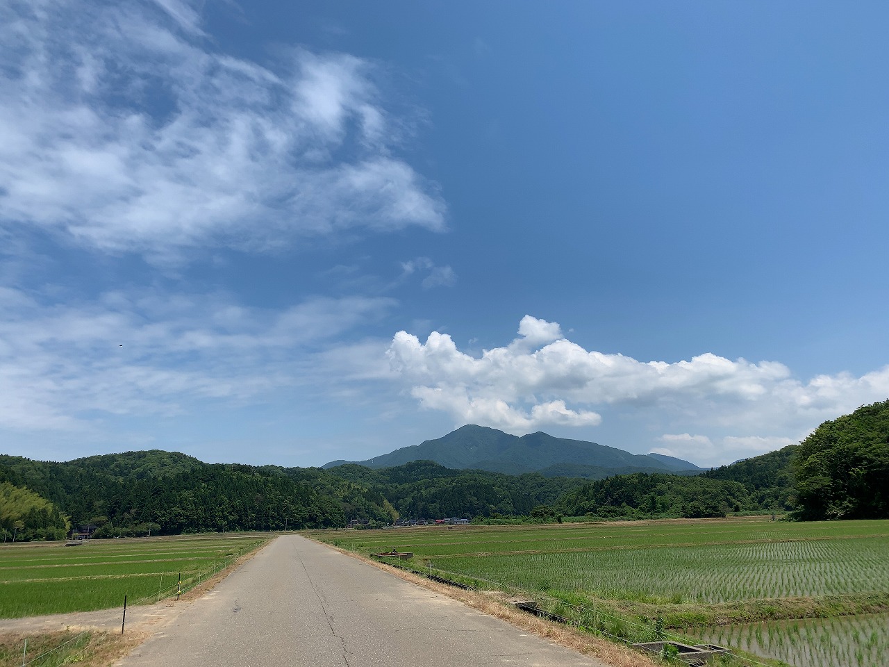 「あばれ井戸の湯」と「日本一うまいトコロテン」