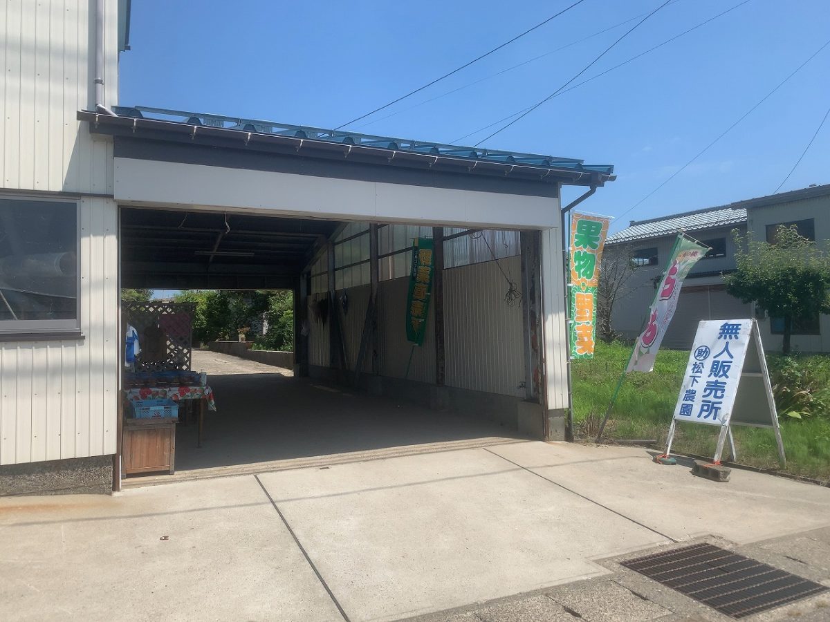桃を安く食べたい！ 松下農園