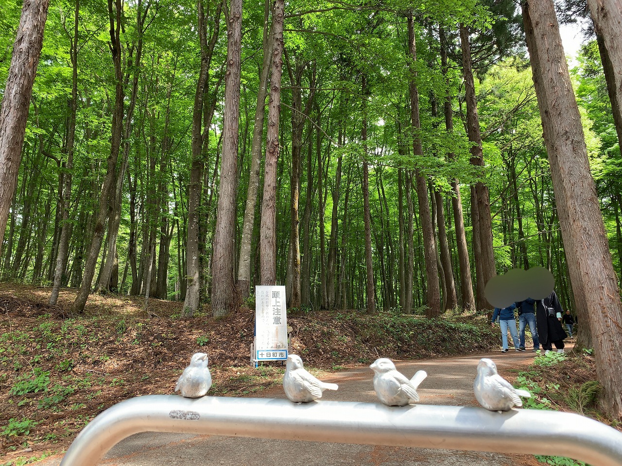 美人林と特製肉みそ麺