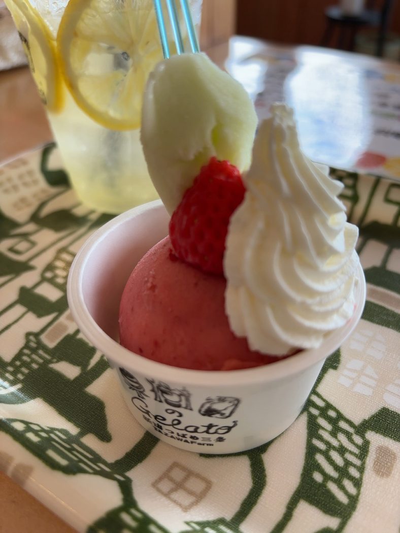 田沢農園のジェラート