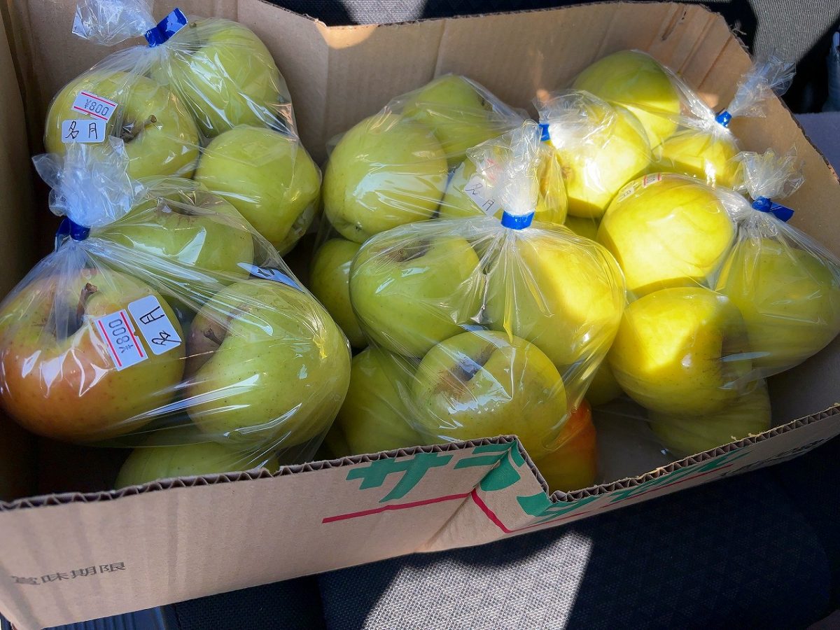 長野 リンゴ買いドライブ