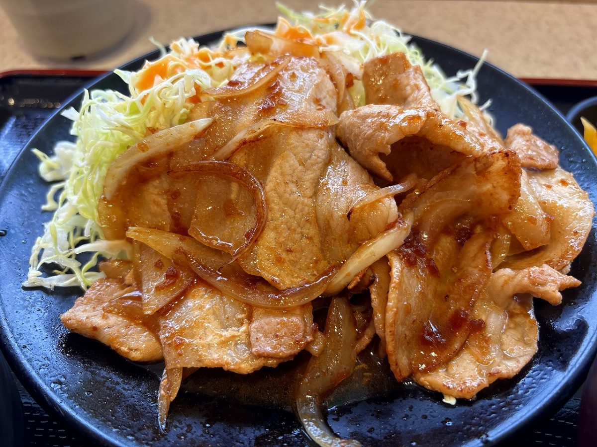 北陸道栄SA上り 生姜焼き定食